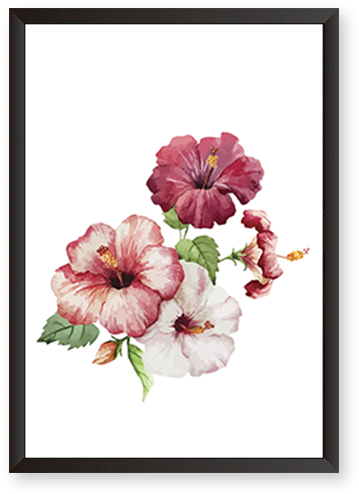 Hibiscus Flowers - Hibiscus Painting (600x600), Png Download