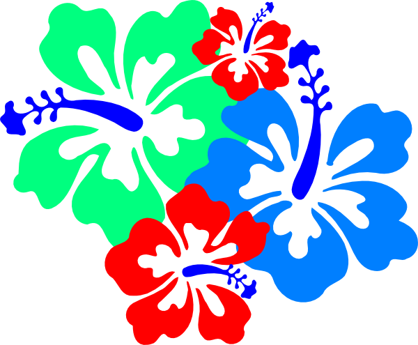 Hibiscus Flowers 4 (600x495), Png Download