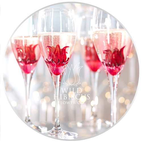 Classic Wild Hibiscus Flowers In Champagne - Wild Hibiscus Flowers In Syrup (500x500), Png Download