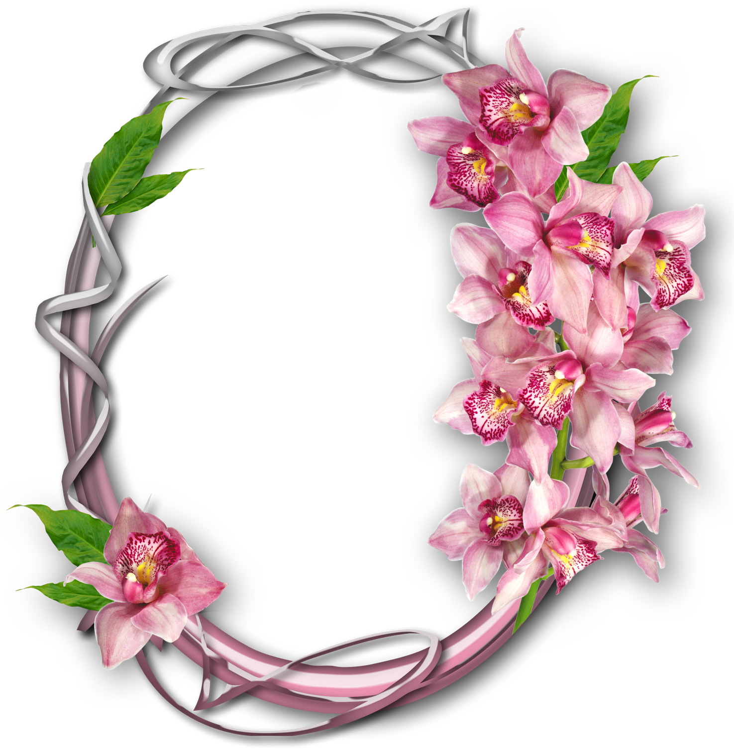 Marco De Circulo Con Flores Rosas - ภาพ หน้า ปก รายงาน ดอกไม้ (1474x1600), Png Download