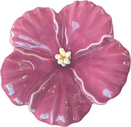 Pink Hibiscus Flower, Large - Rosemallows (440x428), Png Download