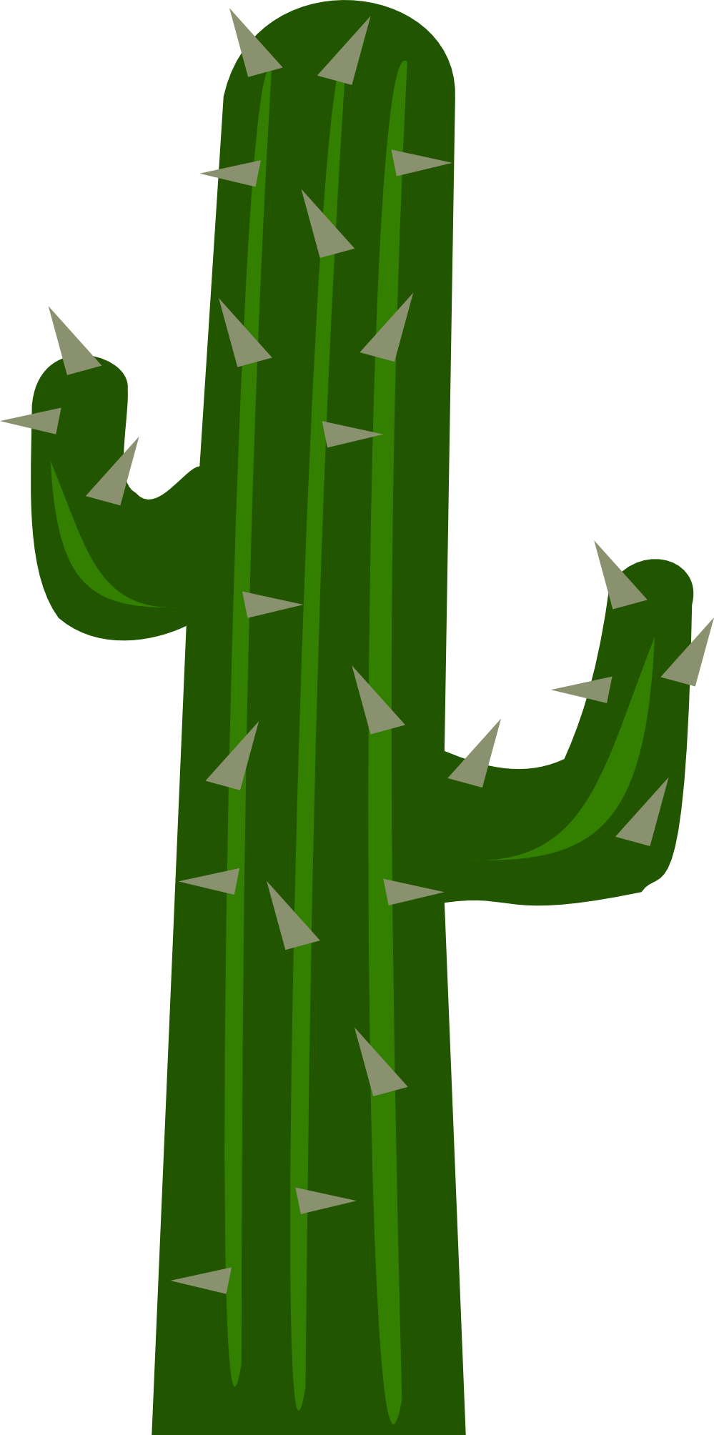 Cartoon Cactus Clipart - Cactus (999x2008), Png Download