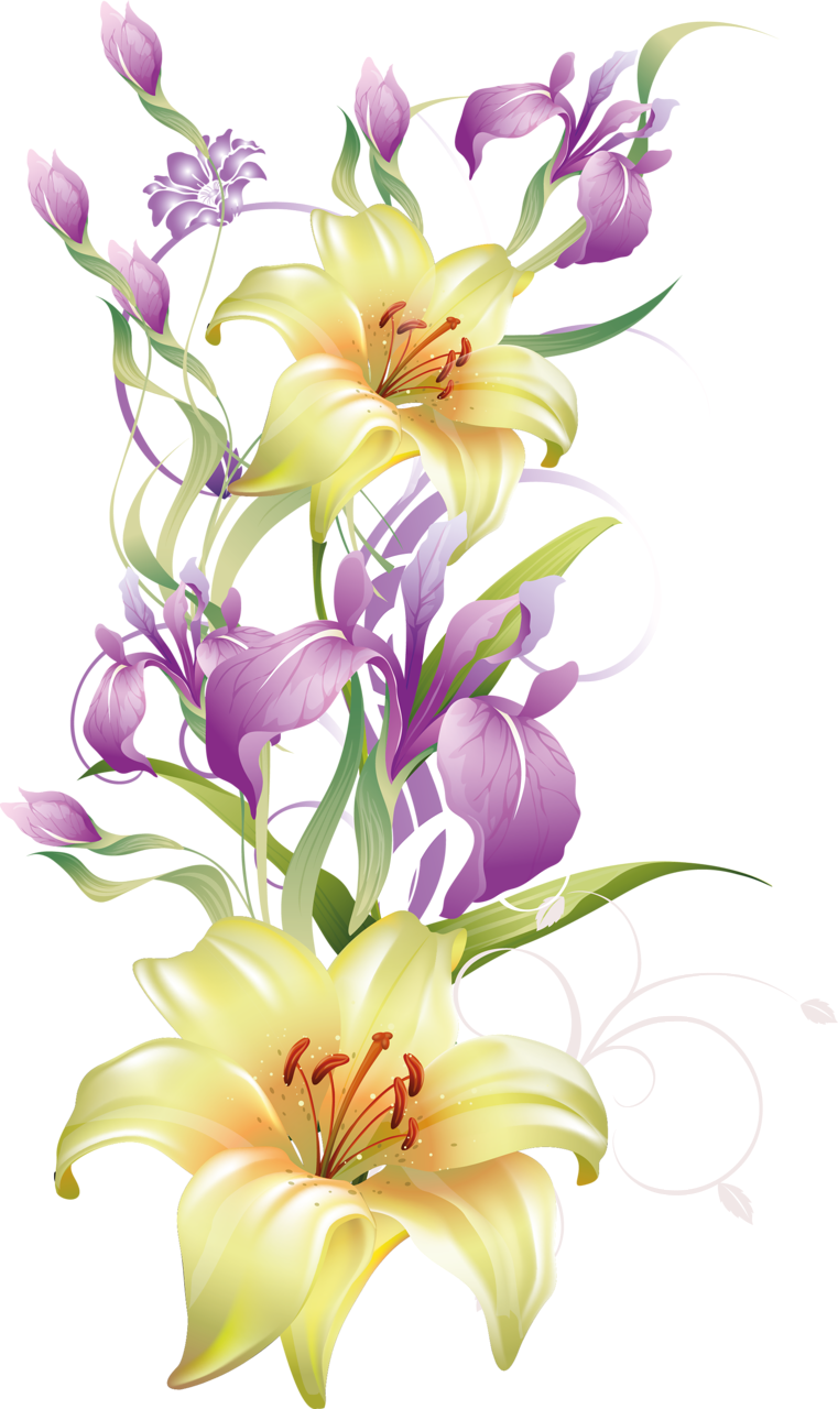 Cada Una De Estas Imágenes Tienen Un Tamaño Grande - Lavender Yellow Flowers Transparent Background (761x1280), Png Download