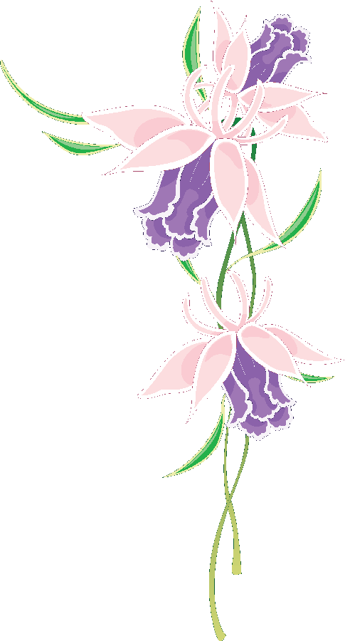 Flores Ilustraciones En Png Para Artesanía Y Diseños - Floral Flower Wall Mural 36 (485x900), Png Download