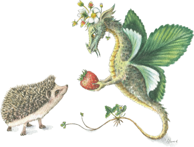 Strawberry Dragon & Hedgehog - Dragon Hedgehog (640x485), Png Download