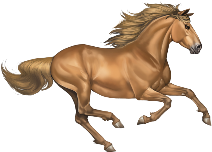 Darkgoldchampagne - Horse Png (700x503), Png Download
