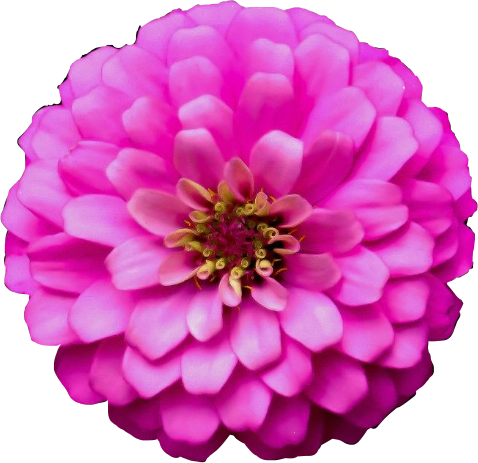 Stock Photography (478x463), Png Download