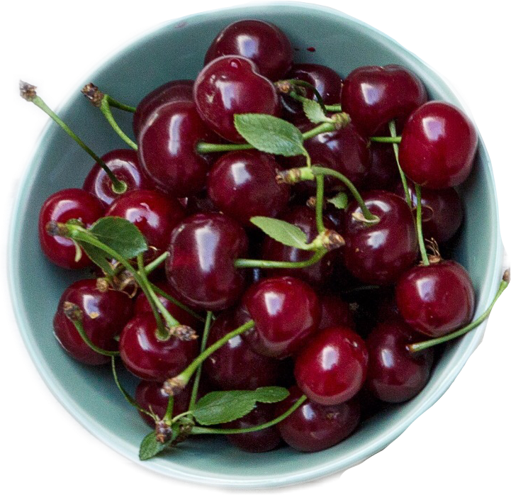 Cranberry Drawing Lingonberry - Aik Shor Hai Mujhme Jo Khamosh Bohat Hai (721x698), Png Download