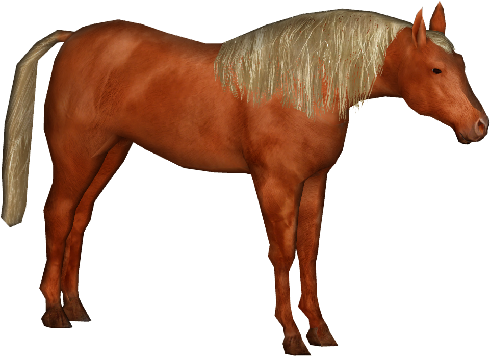 Elven Horse 7 - Wiki (960x960), Png Download