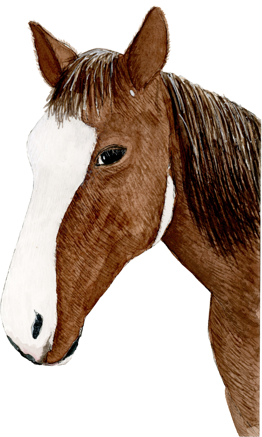 Hand Painted Horse Print (1000x1667), Png Download