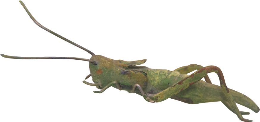 Antique Vienna Bronze Figure Of A Green Grasshopper, - 20th Century (873x873), Png Download