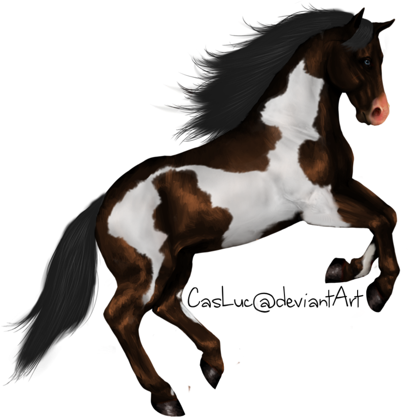 Horse Designs For Embroidery - Horse Standing Png (894x894), Png Download