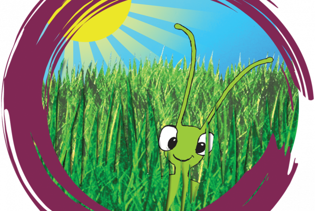 New Star Soccer 2010 Pc (650x435), Png Download