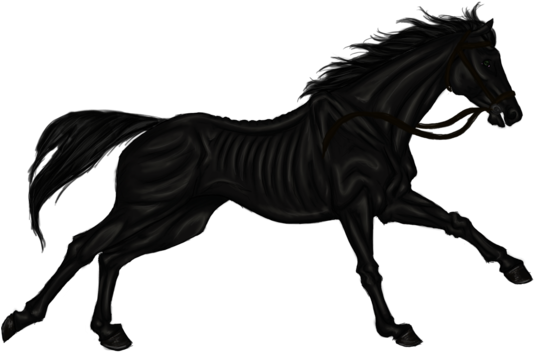 Png Free Mane Mustang Pony Transprent - Black Horse Logo Transparent (600x482), Png Download