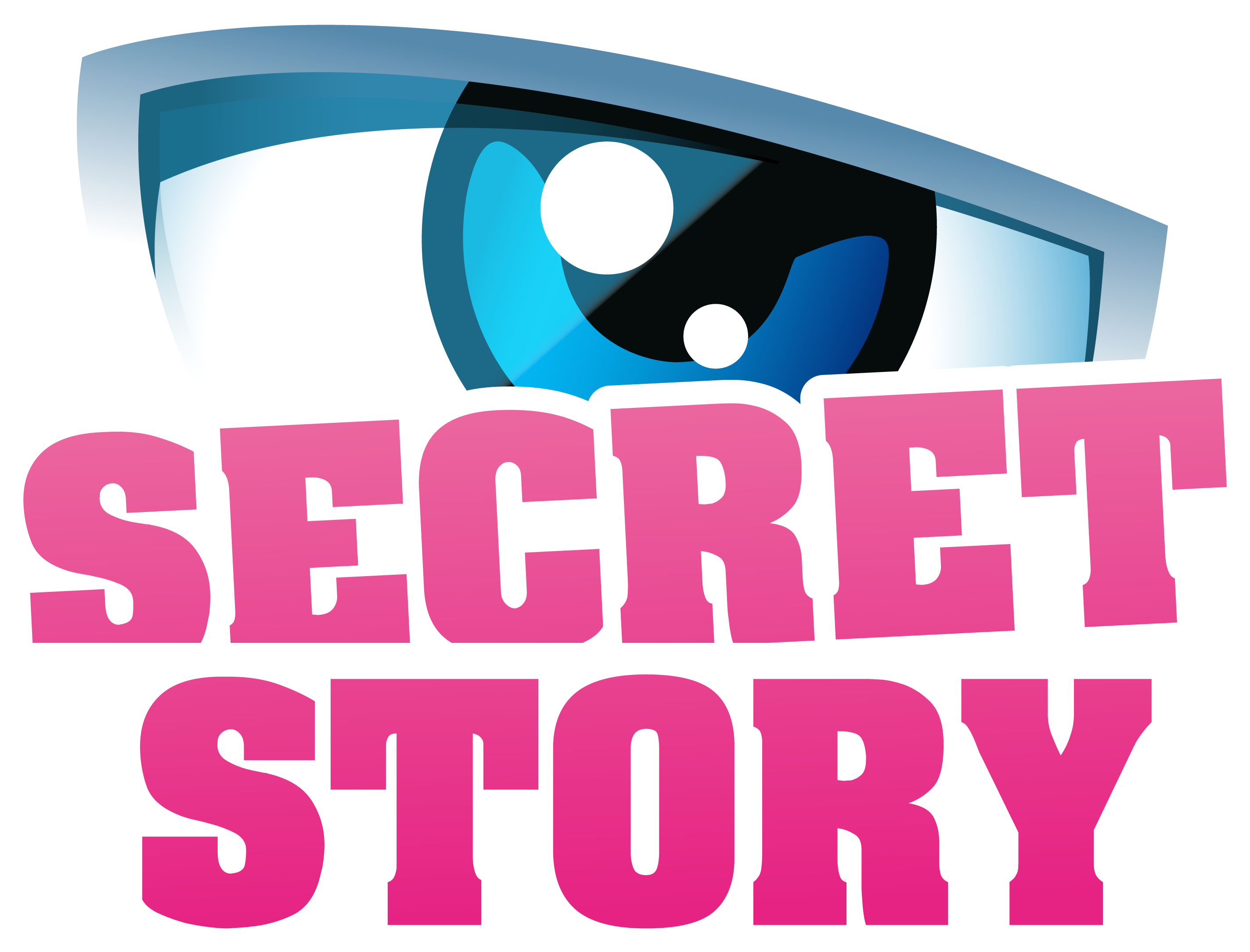 Logo Secret Story Png - Secrète Story (2847x2168), Png Download