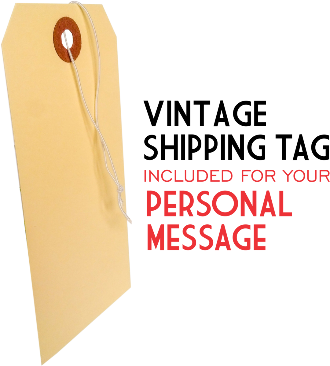 The Kootenay Box - Ice Cream (1163x1200), Png Download