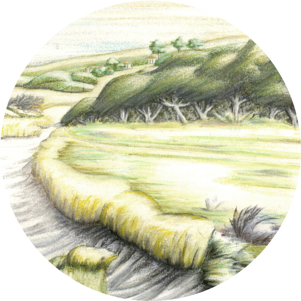 Jekyll (1000x1033), Png Download