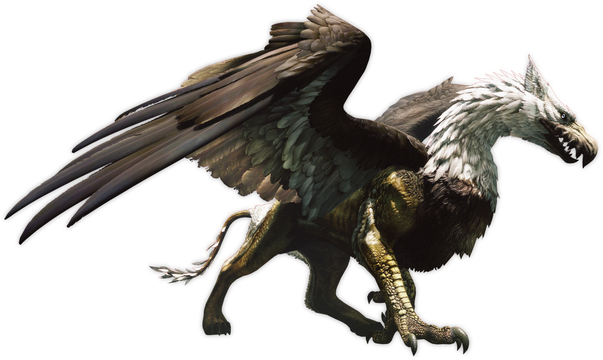 Can You Name All - Dragon's Dogma Griffin (2100x1255), Png Download