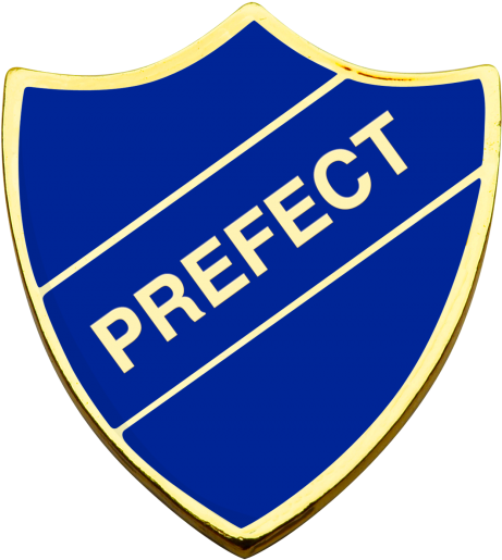 Prefect-ravenclaw - Head Boy Of School (500x556), Png Download