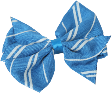 Banner Ravenclaw Product Information - Information (422x480), Png Download