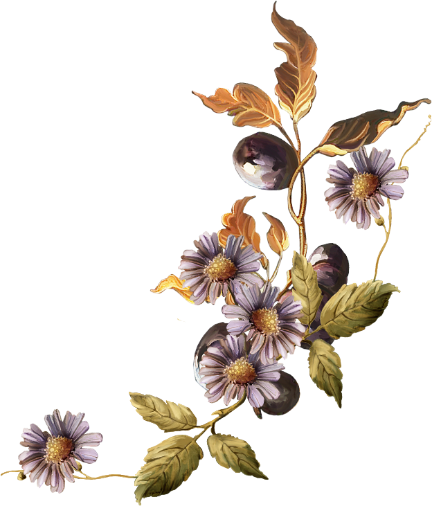 Фото, Автор Иришка-манюшка На Яндекс - ملحقات تصاميم ورد (650x762), Png Download