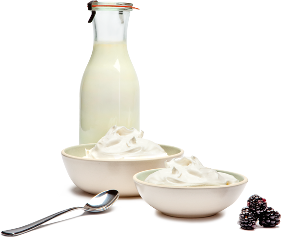 Our Yogurt - Milk And Yogurt Png (576x486), Png Download