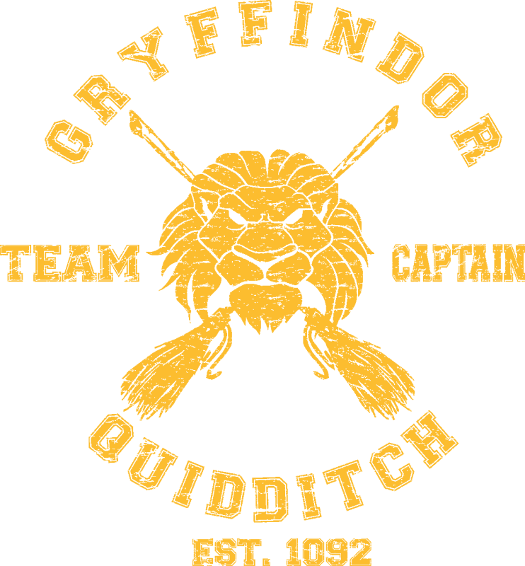 Gryffindor Quidditch Team Kids T-shirt - Gryffindor Team Seeker (742x800), Png Download