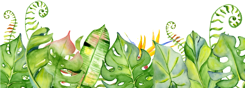 Hand Painted Fresh Leaves Png Transparent - Tropical Leaves Watercolour Clip Art (1024x1024), Png Download