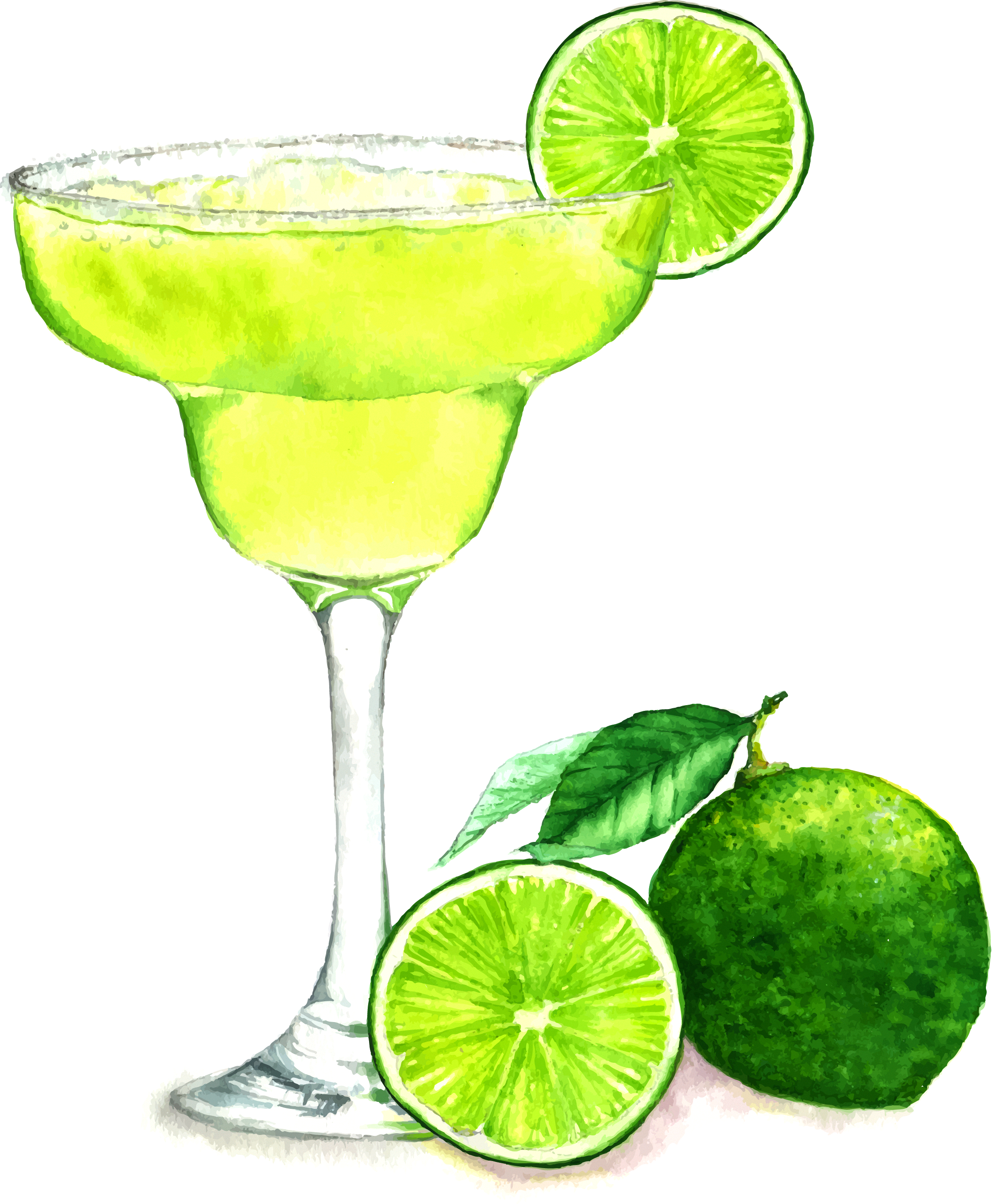 Download Vector Png For Free Download On Transparent Background Margarita Clipart Png Image With No Background Pngkey Com
