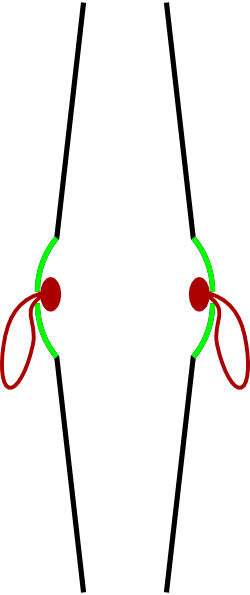 Crash Cymbals Profile - Cymbal (250x595), Png Download