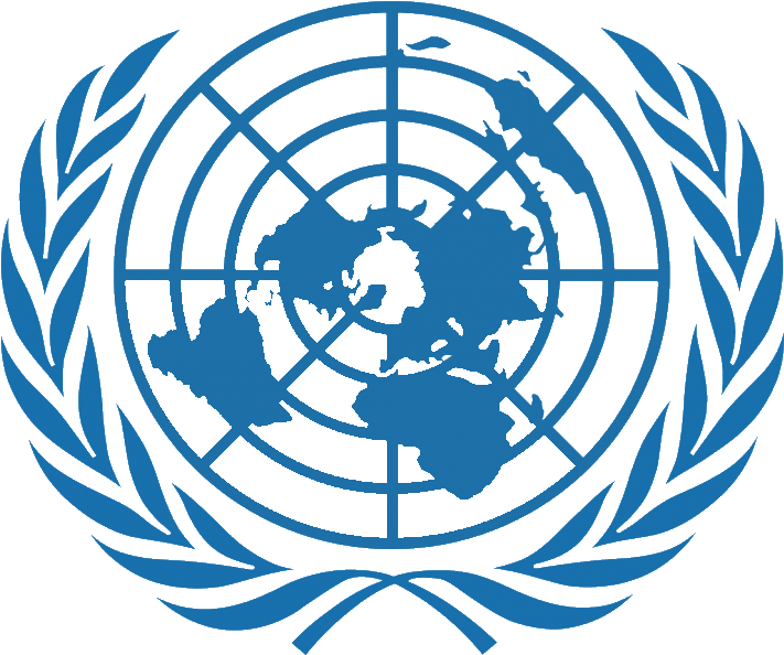 United Nations Declaration On The Rights Of Indigenous - Building Inclusive Financial Sectors For Development (716x600), Png Download
