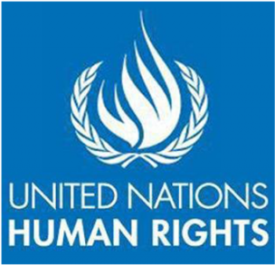The High Commissioner Heads The Un's Work On Human - United Nations Human Rights Logo (800x377), Png Download