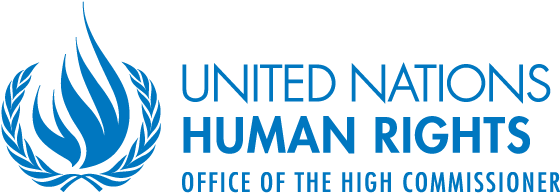 International Instruments - Office Of The United Nations High Commissioner (680x312), Png Download