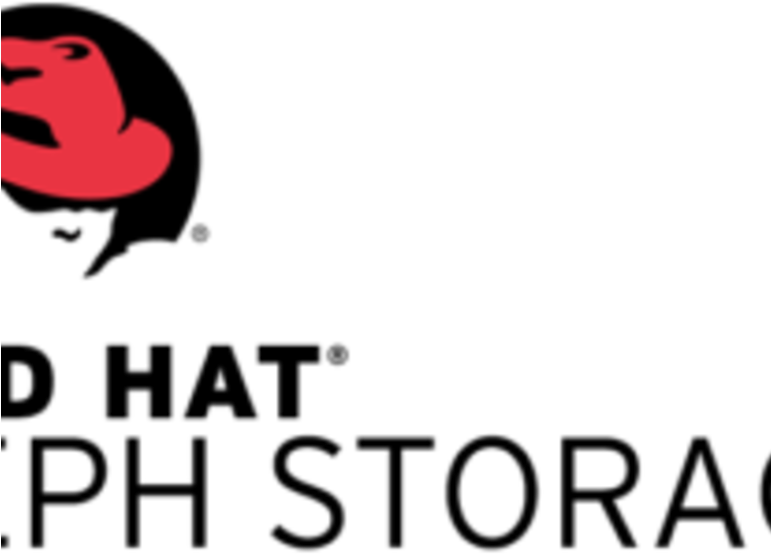 Red Hat Supports Nfs In Ceph Storage - Red Hat Insights Logo (770x578), Png Download