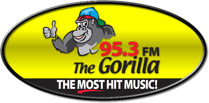 95 - 3 Gorilla - Meal (720x380), Png Download
