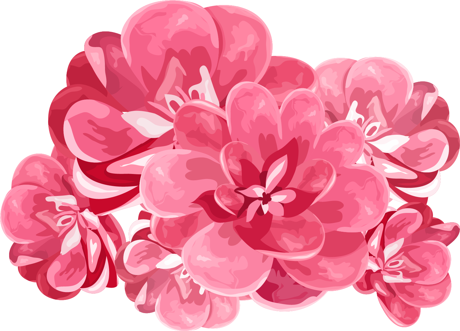 Explore Search And More - Watercolor Peony Png Free (1463x1054), Png Download