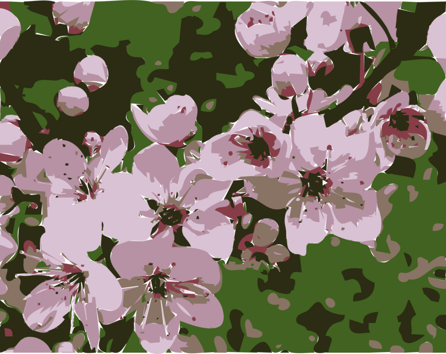 Cameroon Flowers Clipart Plum Blossom Flower - National Plant Of Cameroon (900x715), Png Download