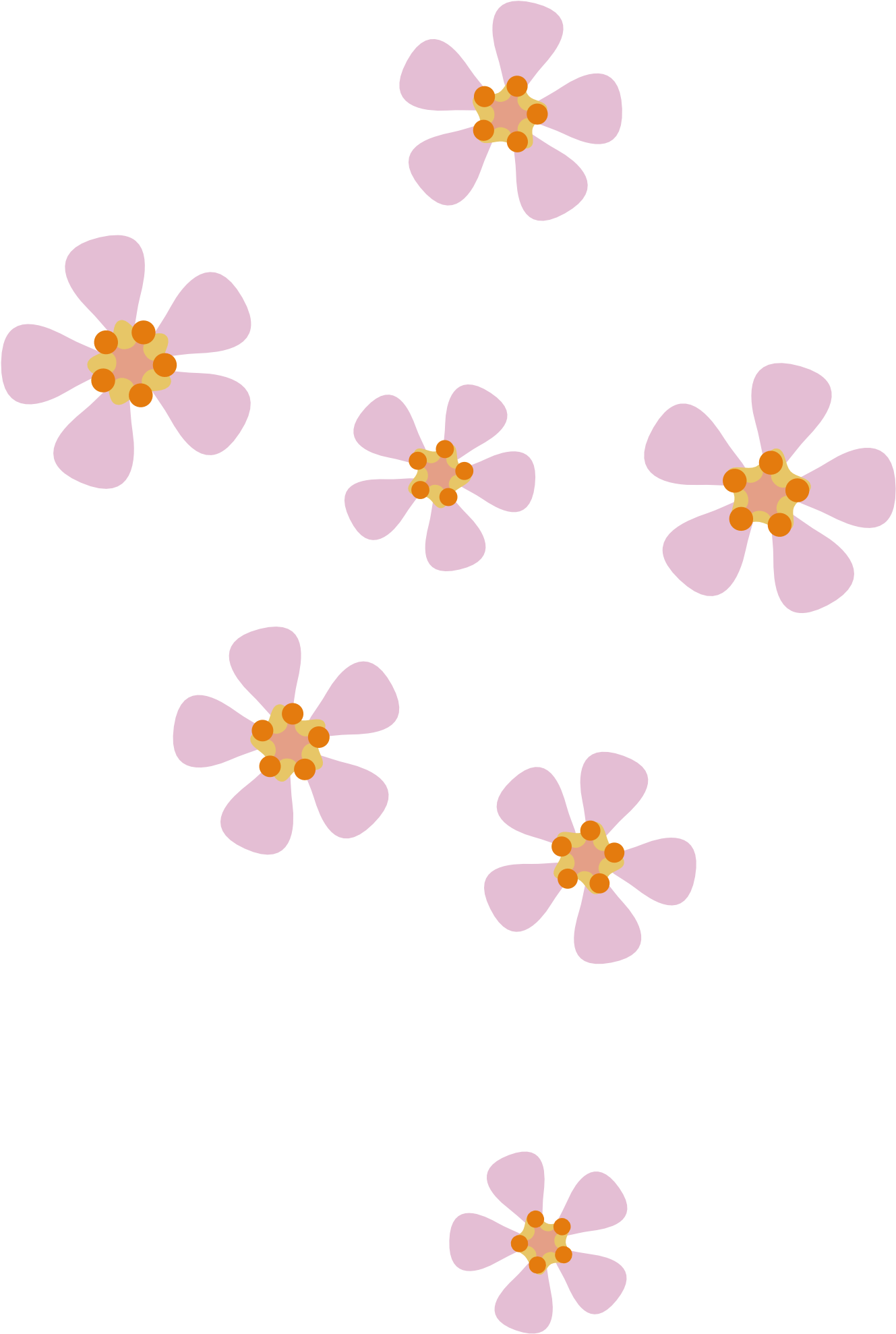 Peach Flower Clipart Peach Blossom - Flower (1351x2000), Png Download