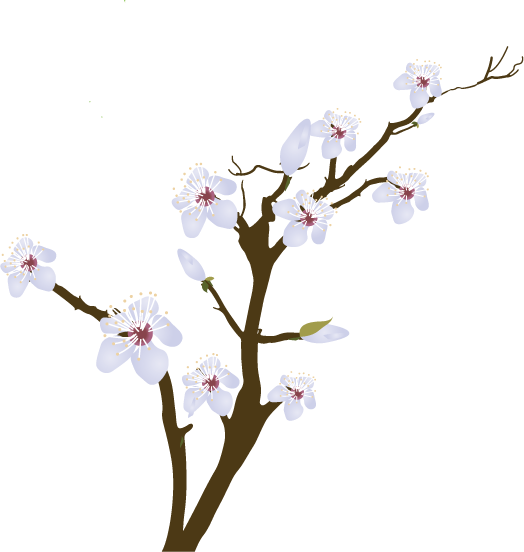 Blossom - Vector Rama Con Flores (524x552), Png Download