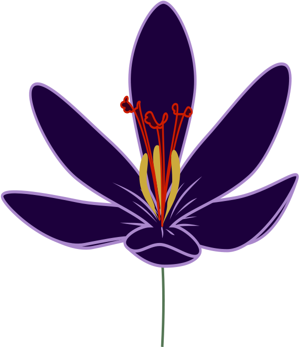 How To Set Use Crocus Blossom Clipart (900x900), Png Download