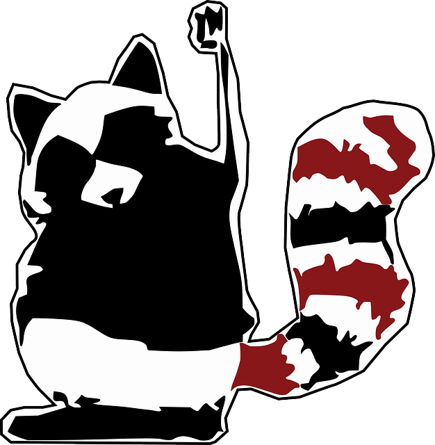 Raccoon, Coon, Racoon, Animal Fighting, Fist, Winner - Rebel Raccoon (626x640), Png Download