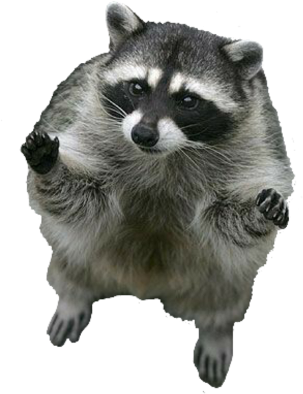 Raton (480x603), Png Download