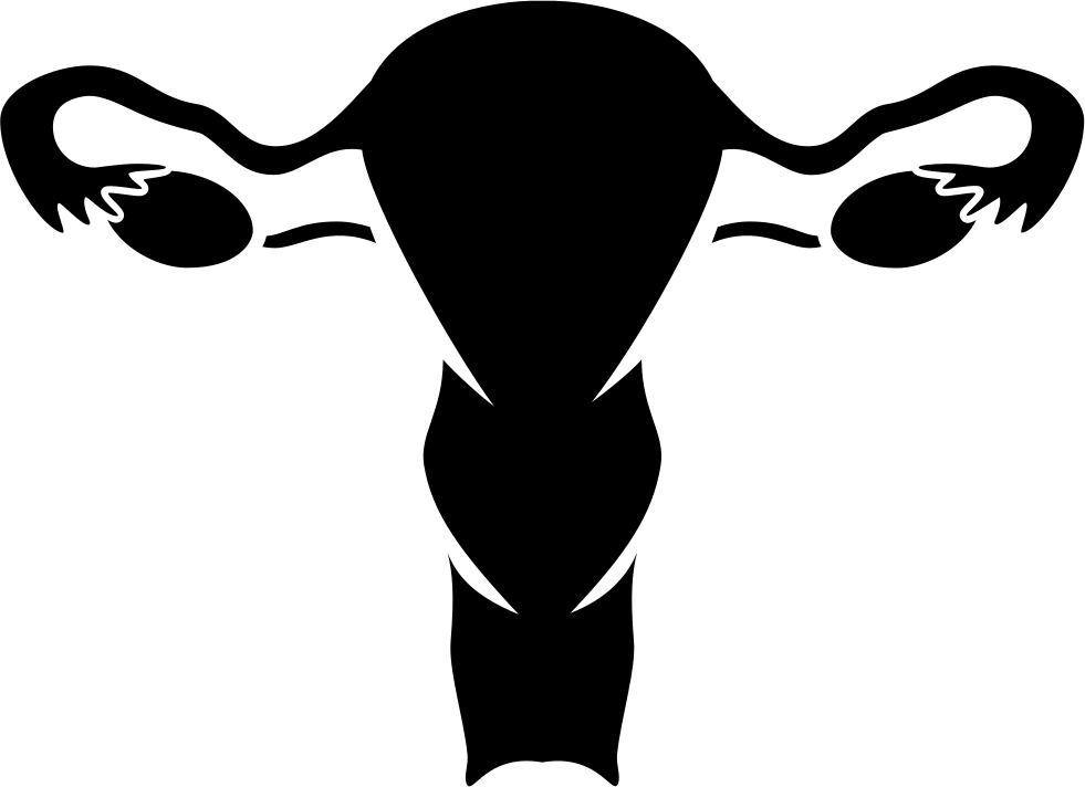 Nfm Vaginal Bleeding Comments - Female Reproductive System Png (981x712), Png Download
