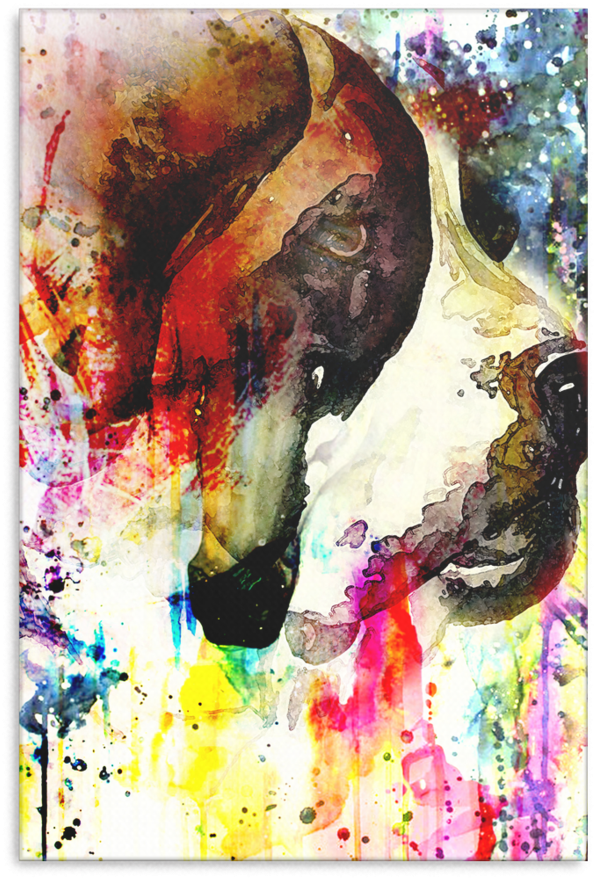 St Bernard Canvas P020 - St. Bernard (900x900), Png Download