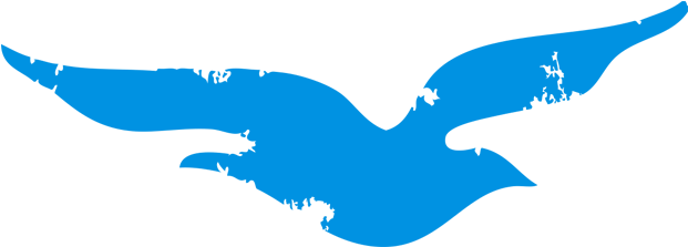 Sara Juli Tense Vagina (651x417), Png Download