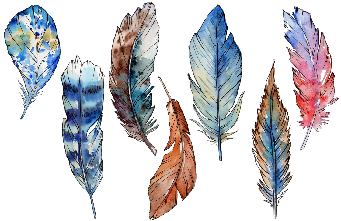 Feather Png Photo - Feather (1160x772), Png Download