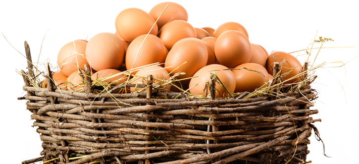 Organic Eggs Png Image Stock - Eggs In A Basket Png (725x331), Png Download