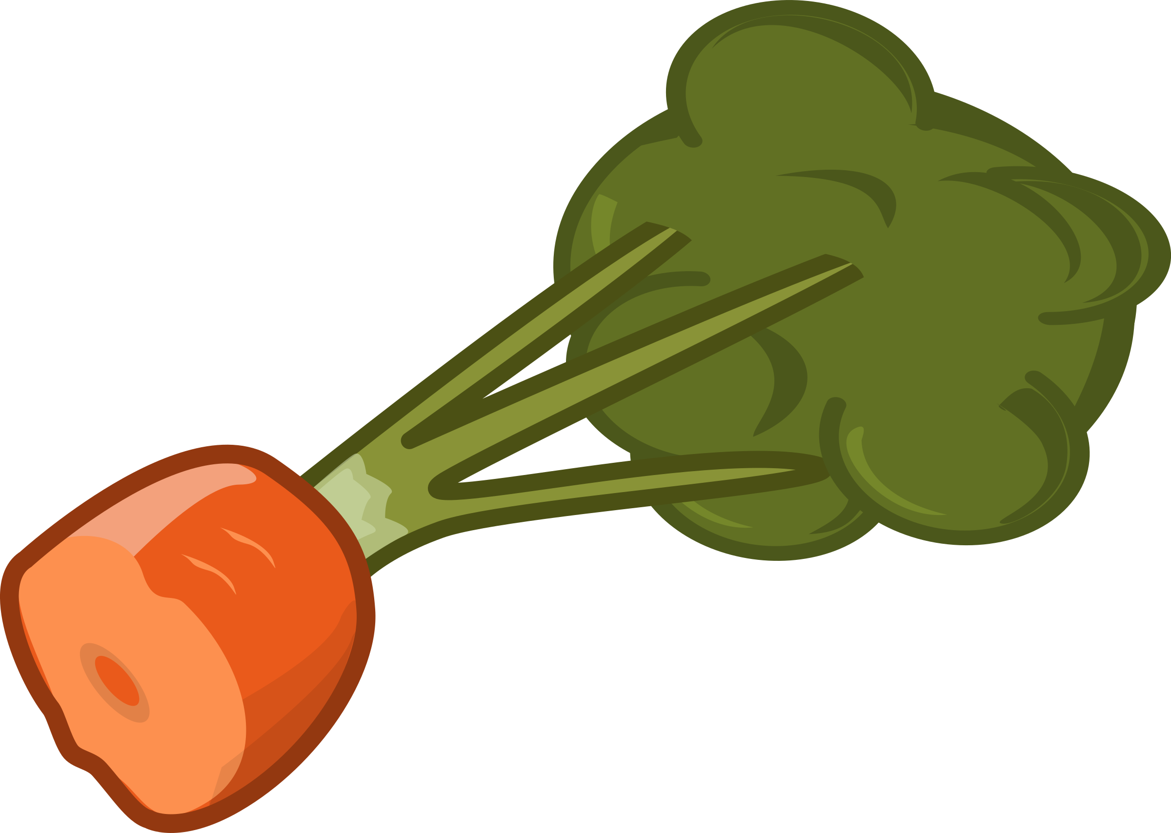 This Free Icons Png Design Of Cut Carrot (2400x1708), Png Download