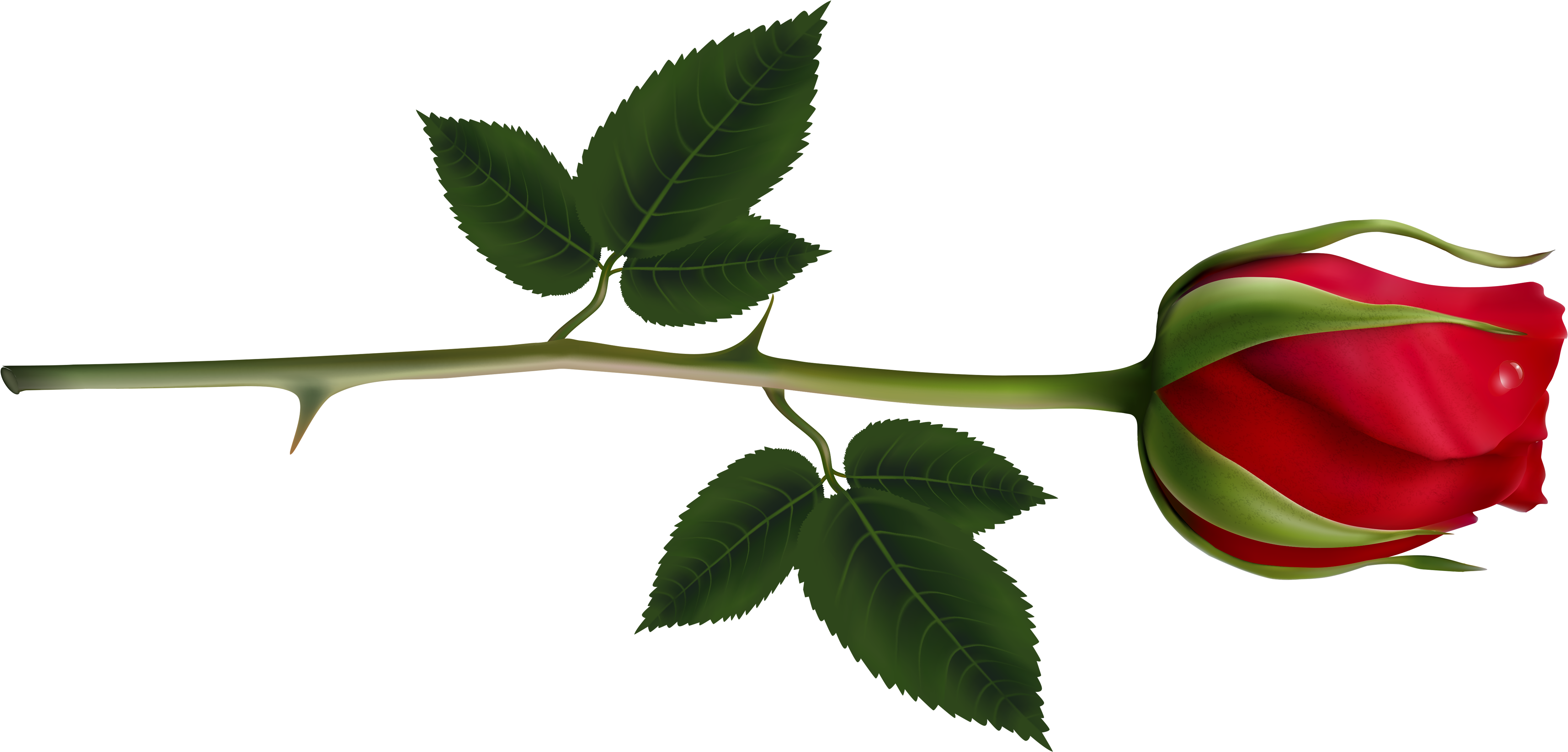 Rose Clipart Images And Pictures Download - Red Rose Bud Png (5158x2476), Png Download