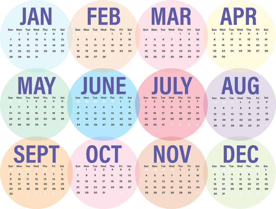 Zazzle Beruflicher Kalender Des Geschäfts-2018 Magnet (792x601), Png Download